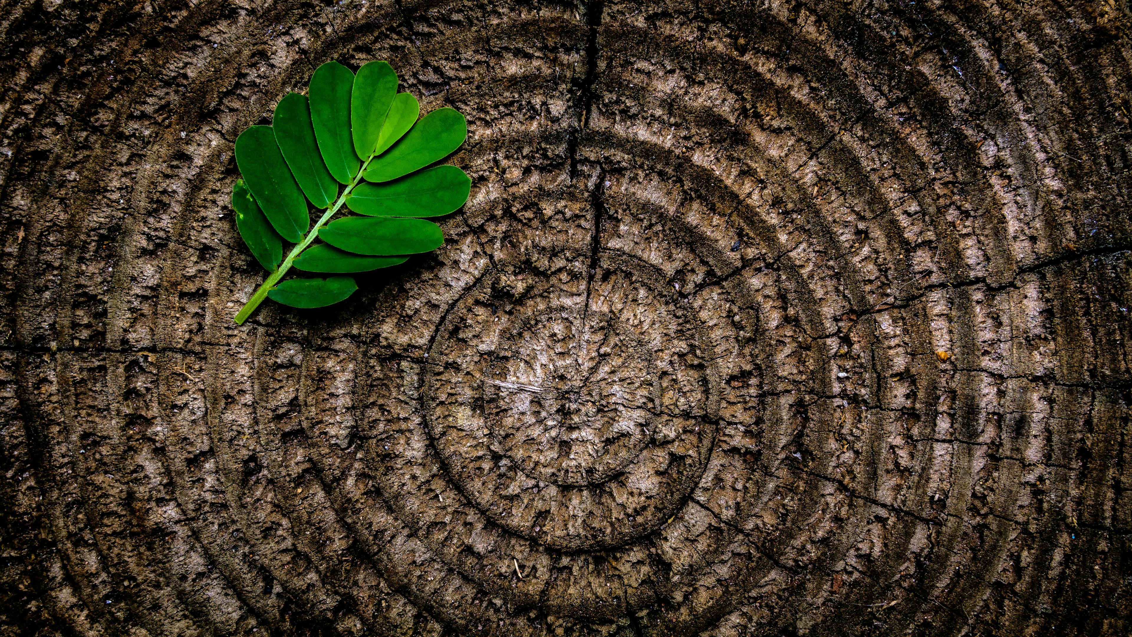 Long-term value creation through trusted partnerships
